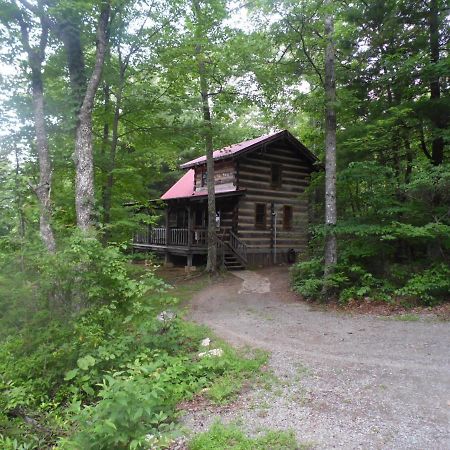 Fiddlers Roost B&B Cabins Galax Экстерьер фото